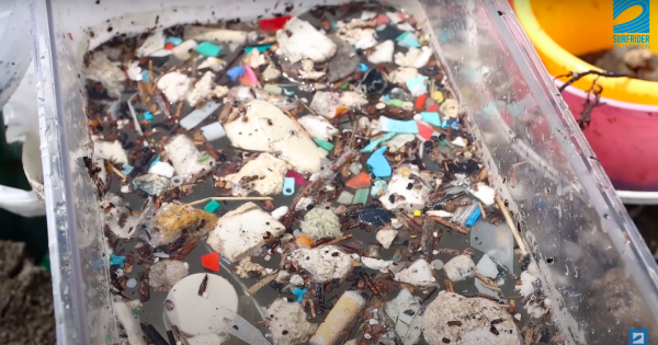 前の記事: ほのぼのビーチ茅ヶ崎 〜砂浜のマイクロプラスチック回収実験プロジェクト〜