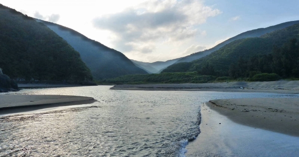 KatokuJapan_STWCampaign_RiverEcosystem_1